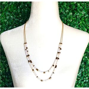 4. J.Crew Layered chevron bead necklace